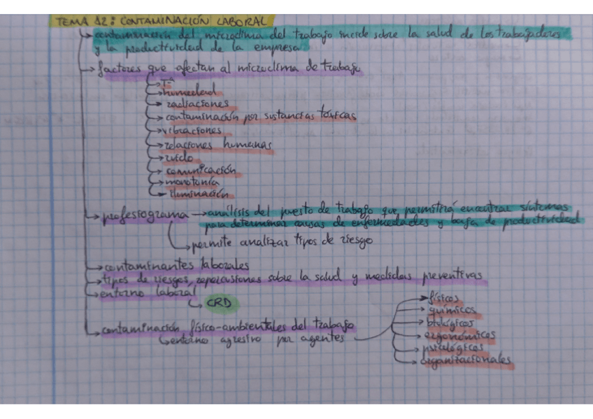 Miniatura del documento Tema-12-Comunitaria-1.pdf