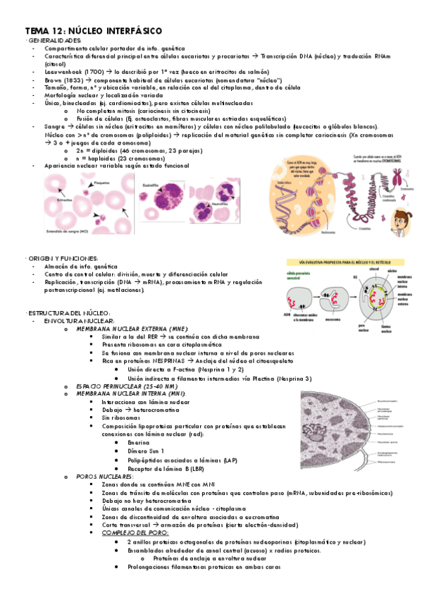 Miniatura del documento Tema-12.pdf