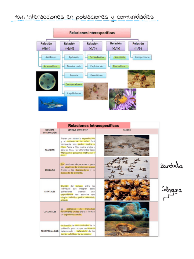Miniatura del documento Tema-10.pdf