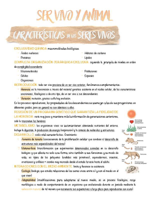 Miniatura del documento 1.-Ser-vivo-y-animal.pdf