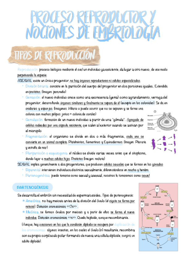 Miniatura del documento 2.-Proceso-reproductor-y-nociones-de-embriologia.pdf