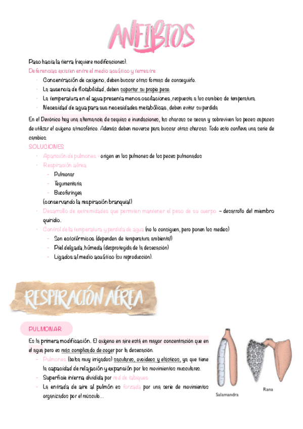 Miniatura del documento 21.-Anfibios.pdf