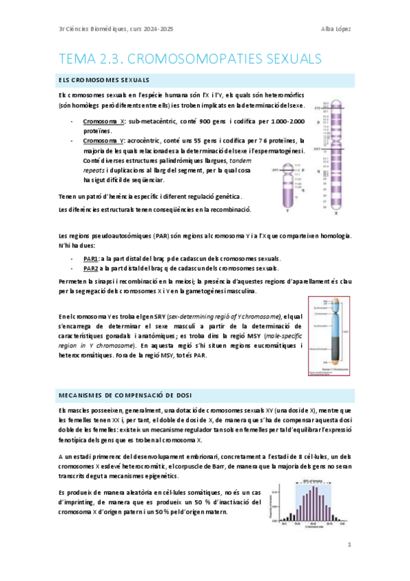 Miniatura del documento Tema-2.3.-Cromosomopaties-sexuals.pdf