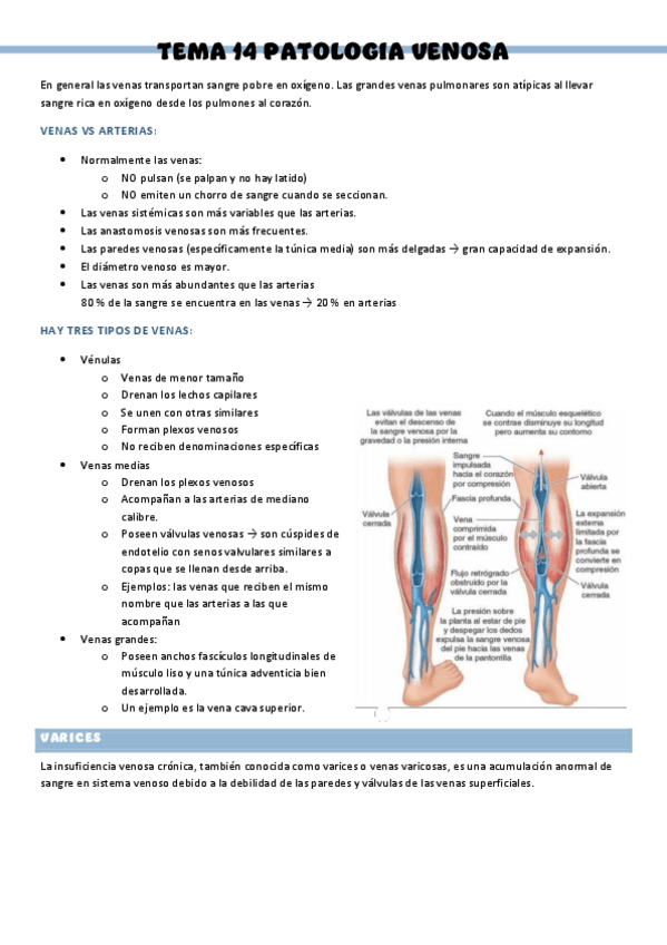 Miniatura del documento PATOLOGIA-QUIRURGICA-GENERAL-T14.pdf