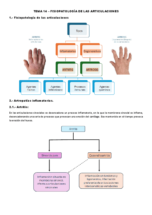 Miniatura del documento T14-20.pdf