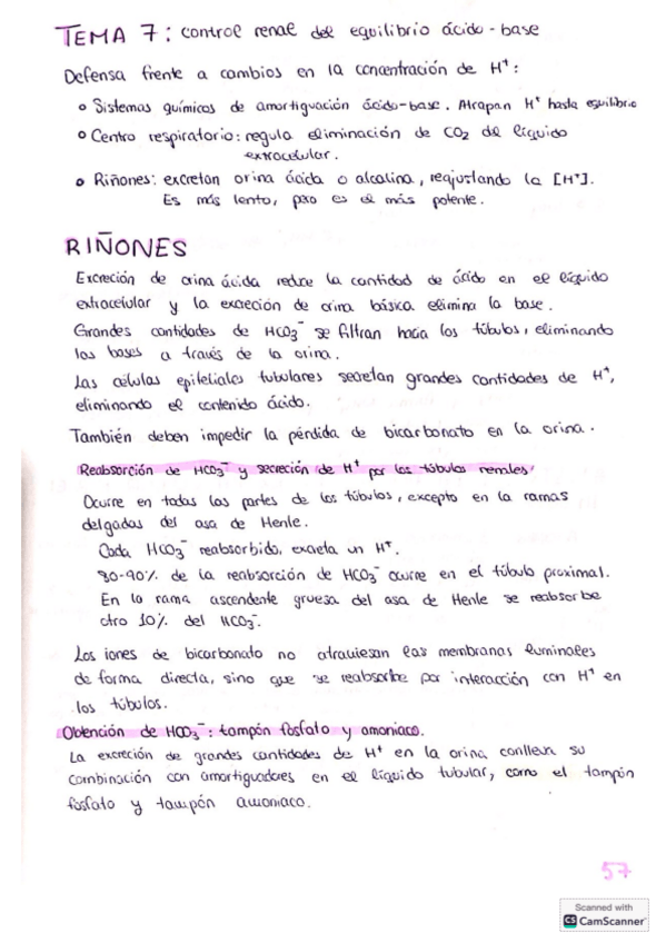 Miniatura del documento Tema-7-excretor.pdf