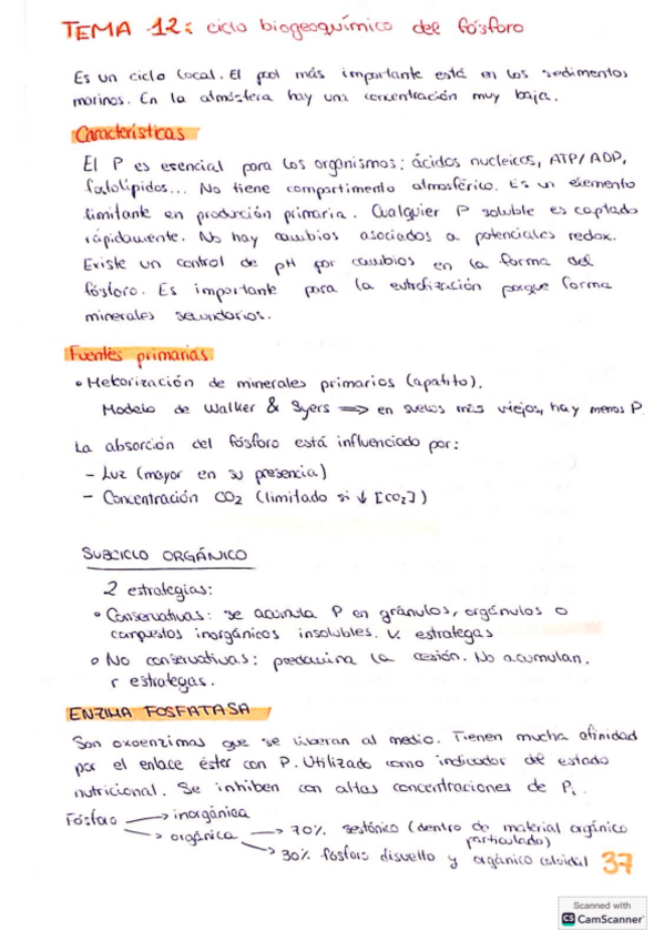 Miniatura del documento Tema-12-ecologia-I.pdf