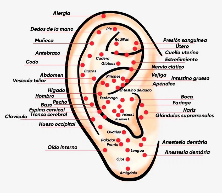 Miniatura del documento auriculoterapia22001.pdf