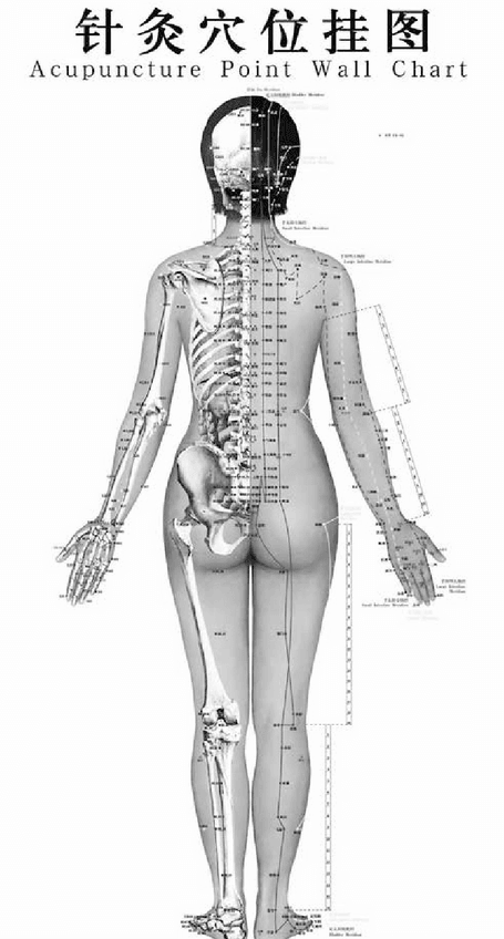 Miniatura del documento Figura-1-Puntos-y-meridianos-de-la-acupuntura-No-ha-sido-posible-diferenciarlos-de.pdf