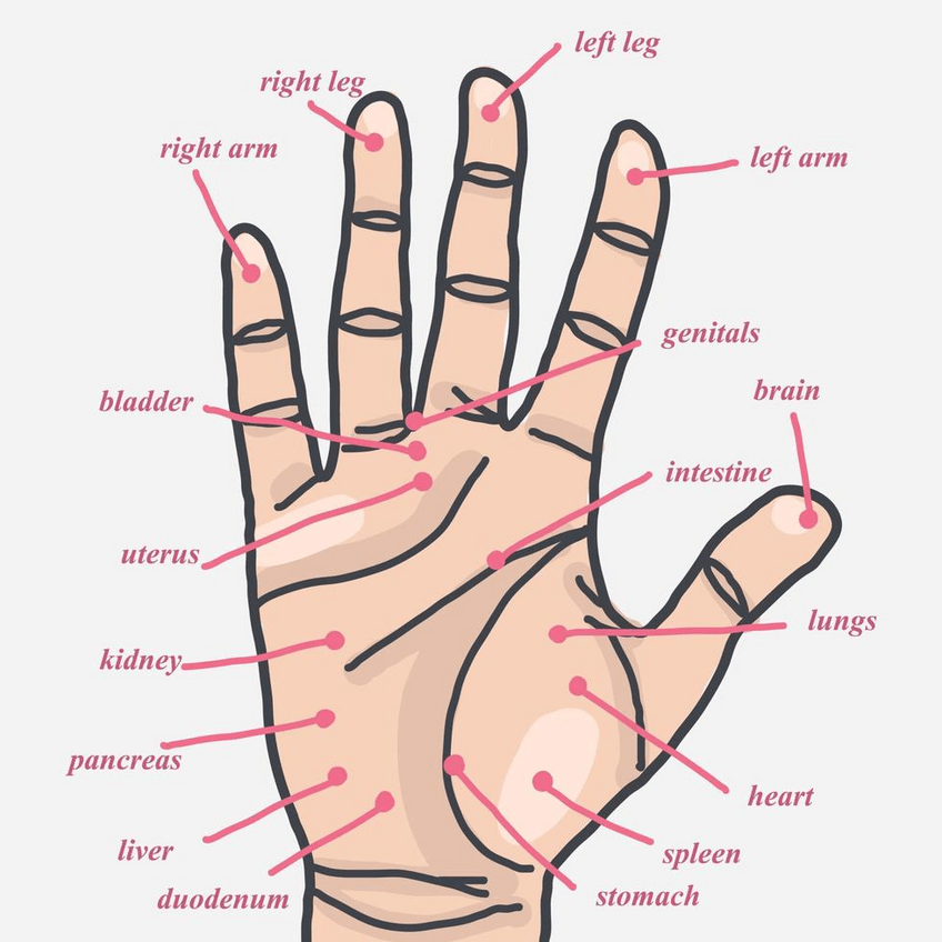 Miniatura del documento hand-acupuncture-points-vector.pdf