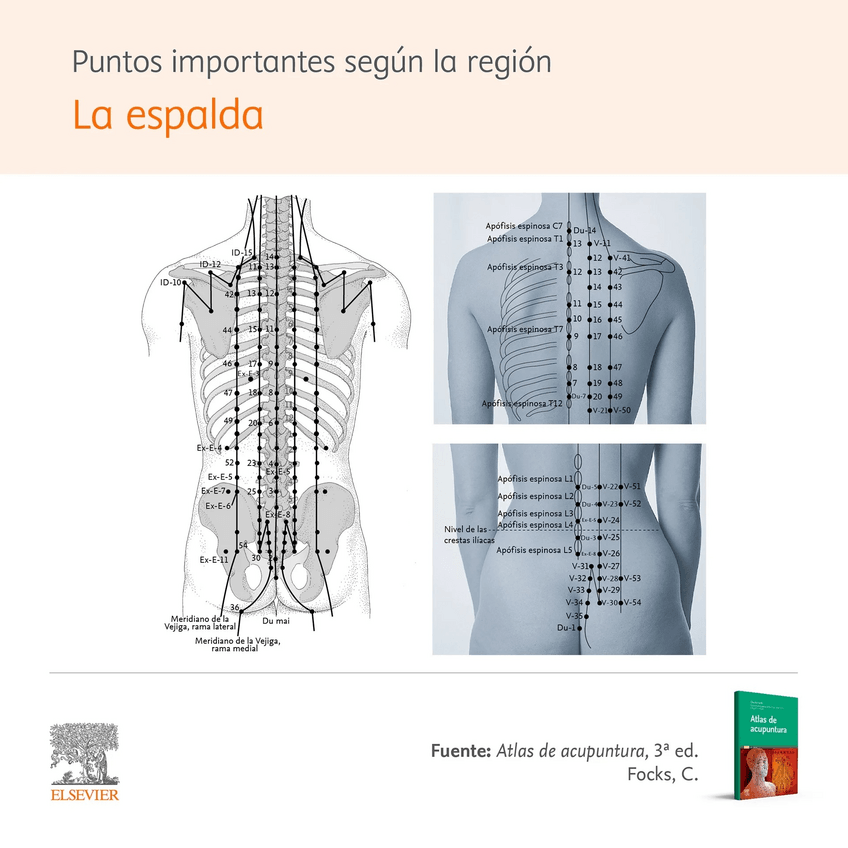 Miniatura del documento w.pdf