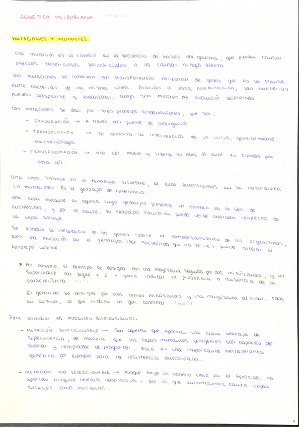 Miniatura del documento Tema-6.pdf