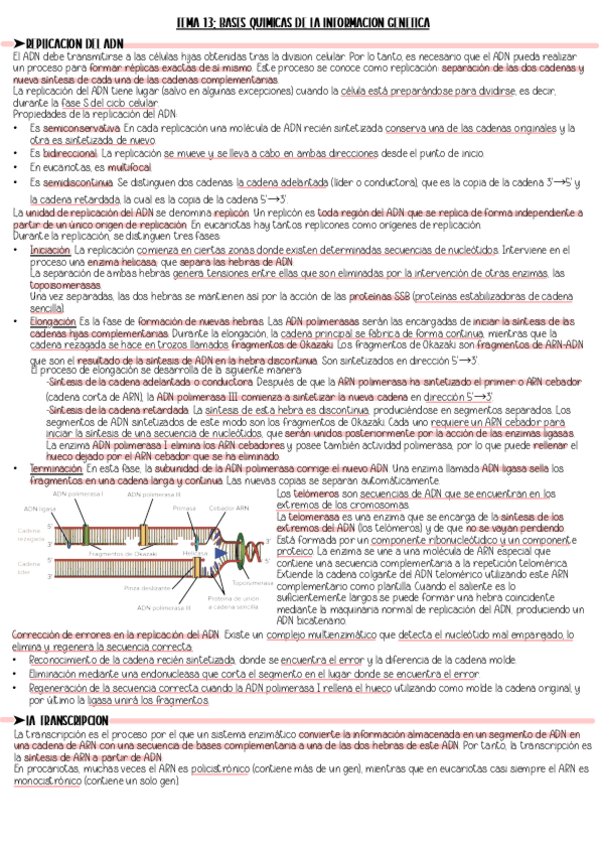 Miniatura del documento TEMA-13.-Resumen.pdf