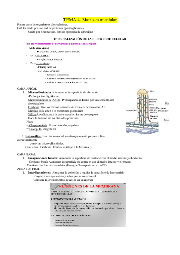 Miniatura del documento Biologia-Tema-4.odt