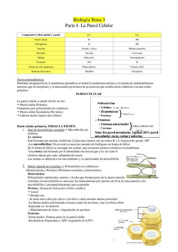 Miniatura del documento Biologia-Tema-3.odt