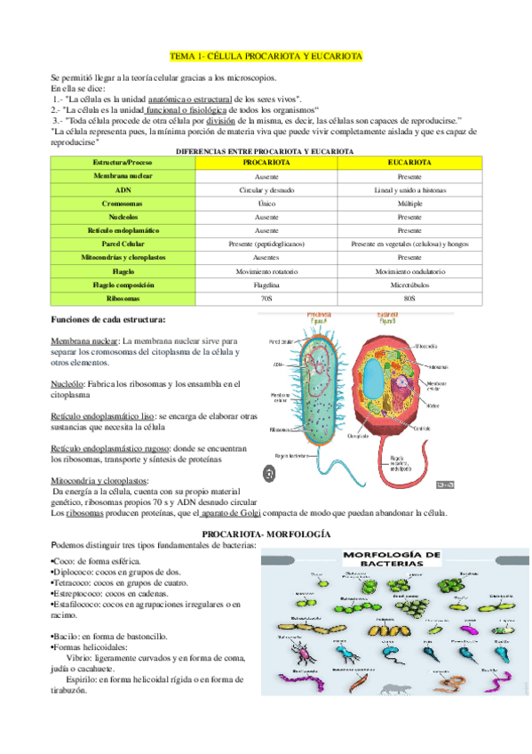 Miniatura del documento Biologia-Tema-2.odt