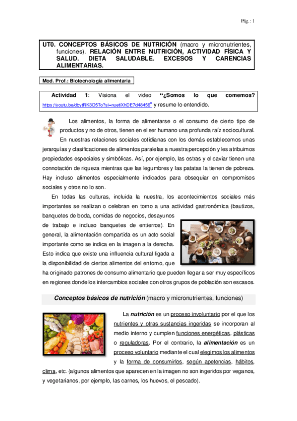 Miniatura del documento UT0-MP-Biotecnologia2024-25.pdf