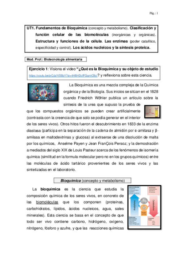 Miniatura del documento UT1 Biotecnologia2024-25.pdf