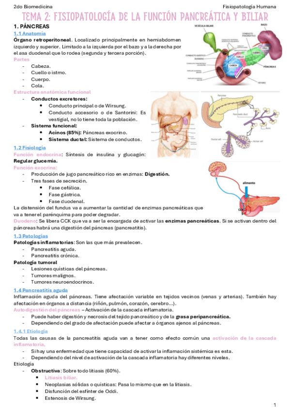 Miniatura del documento T2-Fisiopatologia-de-la-funcion-pancreatica-y-biliar.pdf