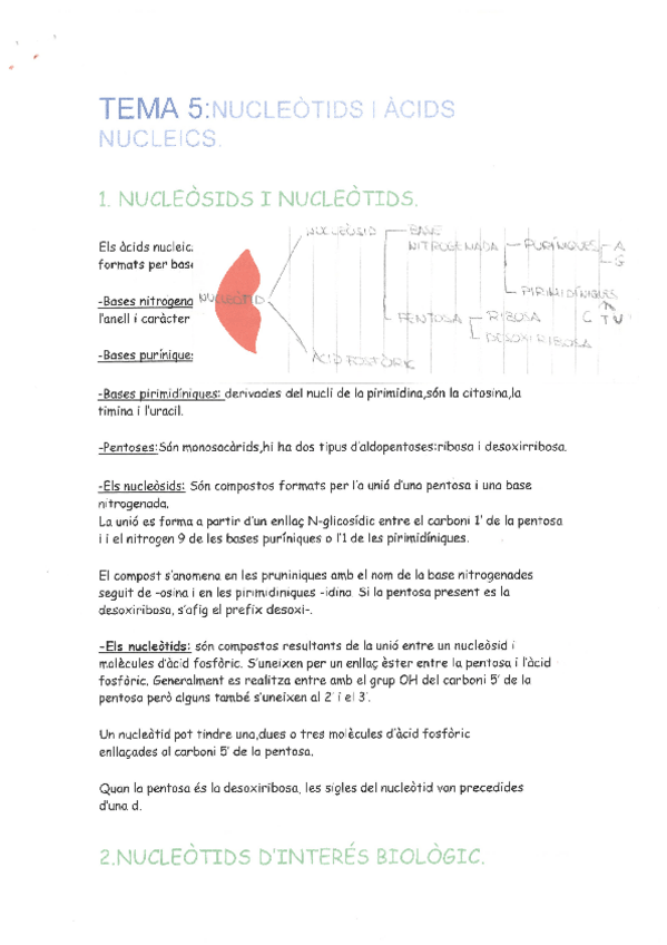 Miniatura del documento TEMA-5.pdf