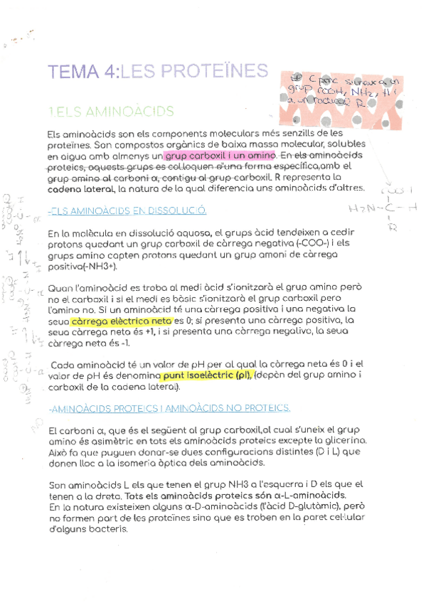 Miniatura del documento TEMA-4.pdf