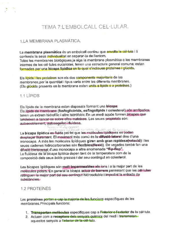 Miniatura del documento TEMA-7.pdf