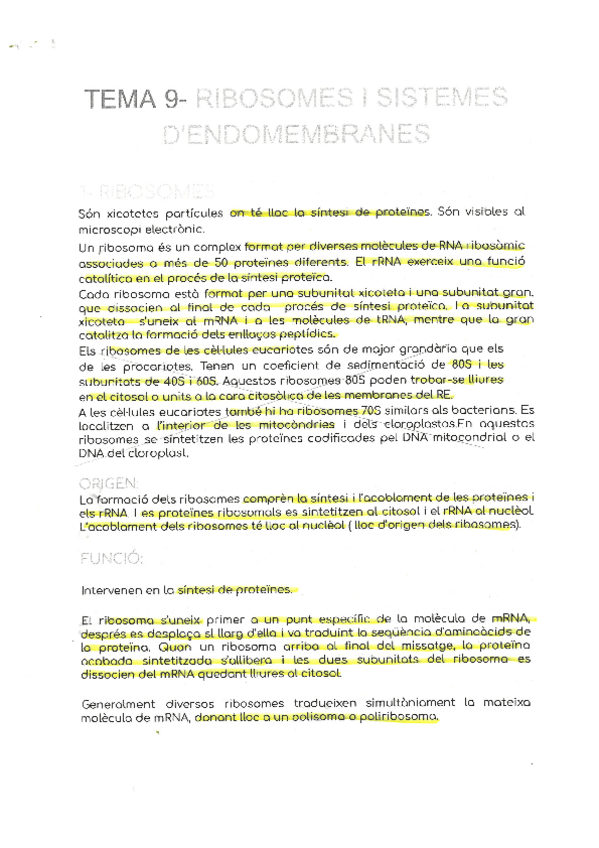 Miniatura del documento TEMA-9.pdf