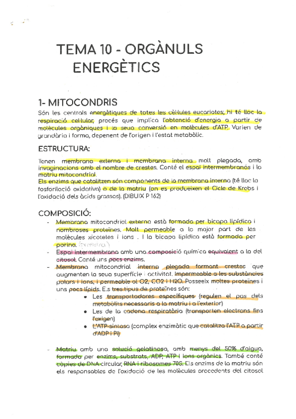Miniatura del documento TEMA-10.pdf