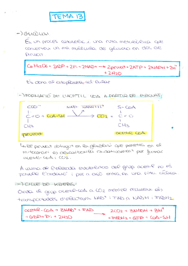 Miniatura del documento TEMA-13.pdf