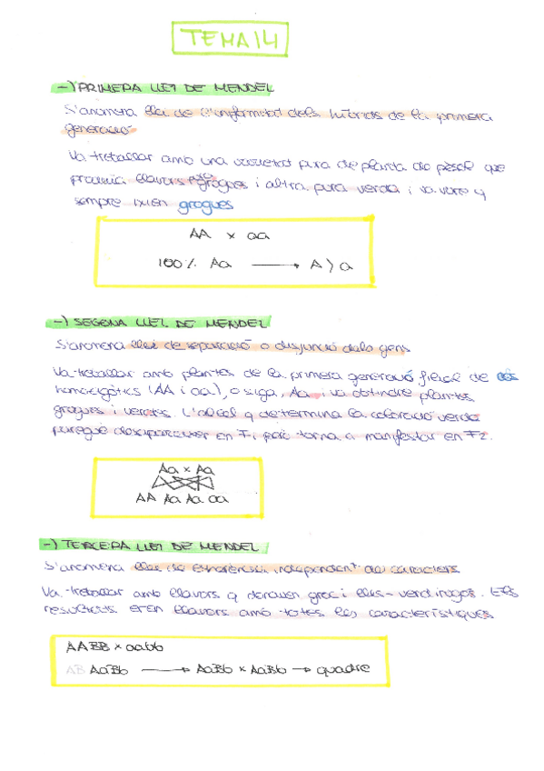 Miniatura del documento TEMA-14.pdf