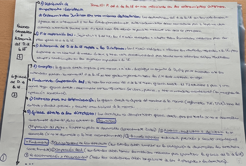 Miniatura del documento Tema-10-Esquema-Explicativo-De-Europeo-1.pdf