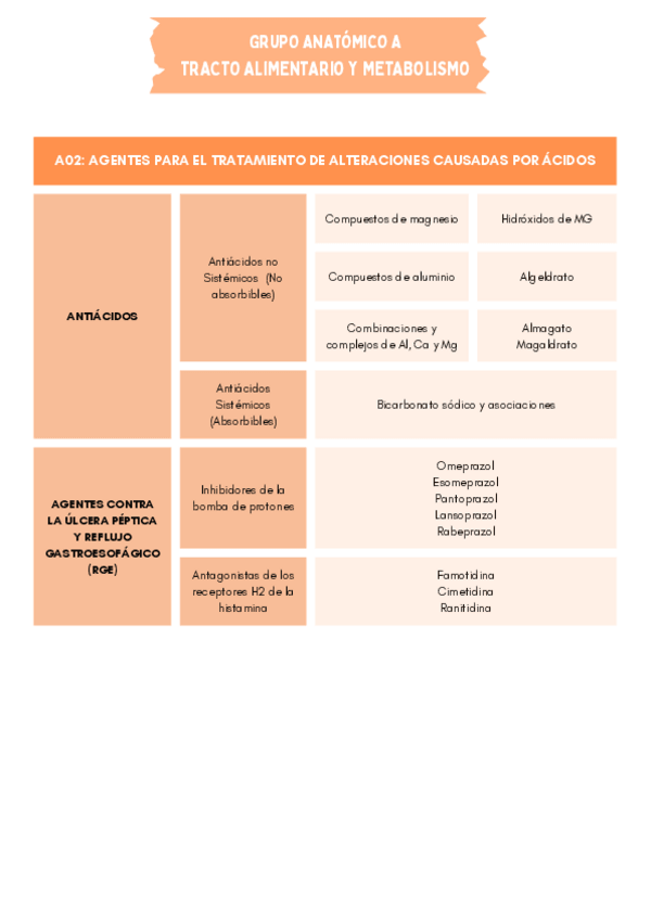 Miniatura del documento GRUPO-ANATOMICO-A-TRACTO-ALIMENTARIO-Y-METABOLISMO.pdf