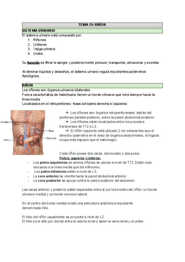 Miniatura del documento temas-21-y-22.pdf