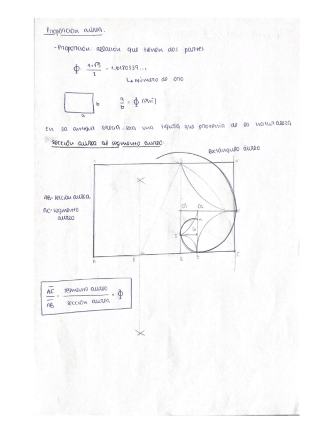 Miniatura del documento PROPORCION-AUREA.pdf