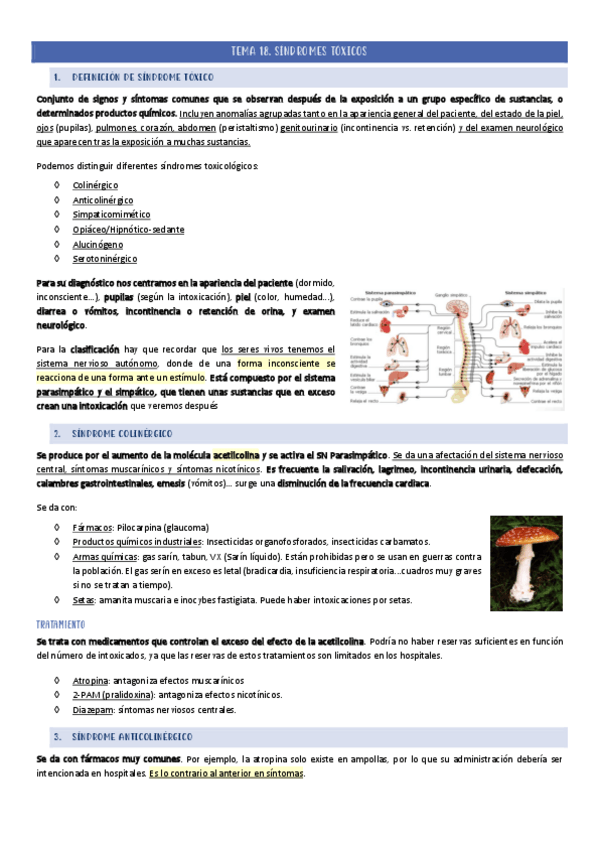 Miniatura del documento TEMA-18.pdf