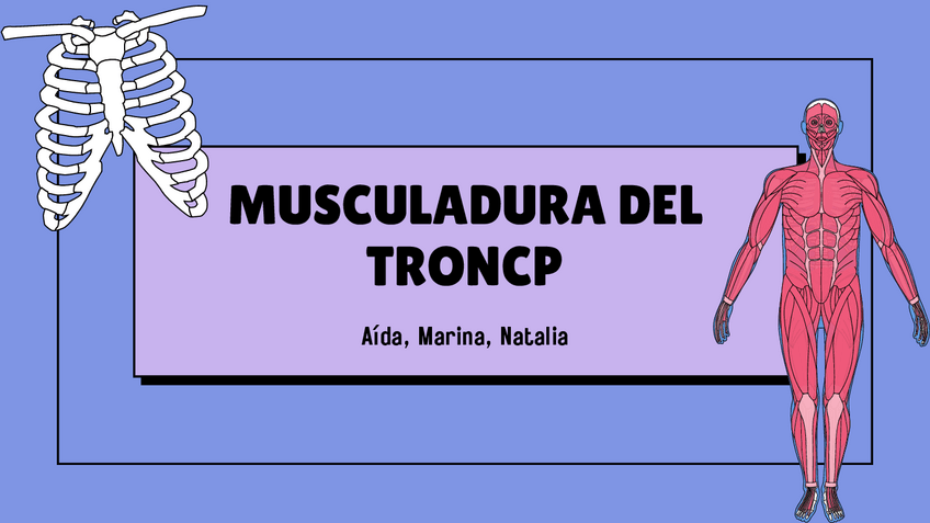 Miniatura del documento rotadores-cortos-y-largos.pdf