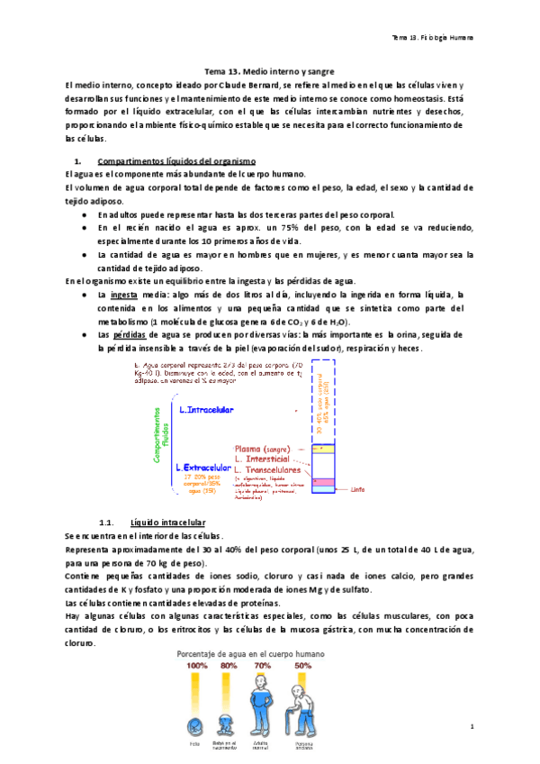 Miniatura del documento Tema-13.-Medio-interno-y-sangre.pdf
