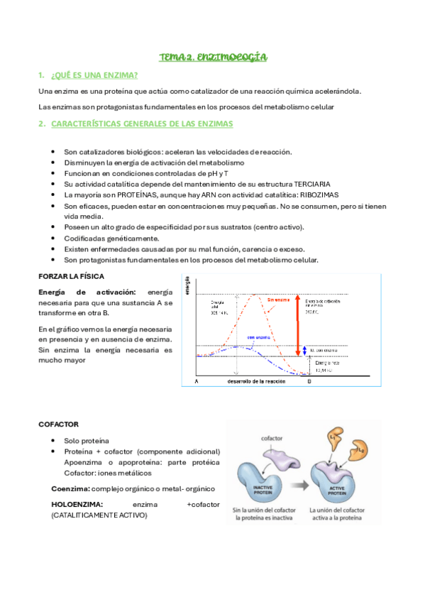 Miniatura del documento TEMA-2.-ENZIMOLOGIA.pdf