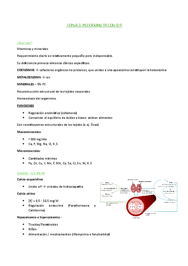 Miniatura del documento TEMA-3-MICRONUTRIENTES.pdf