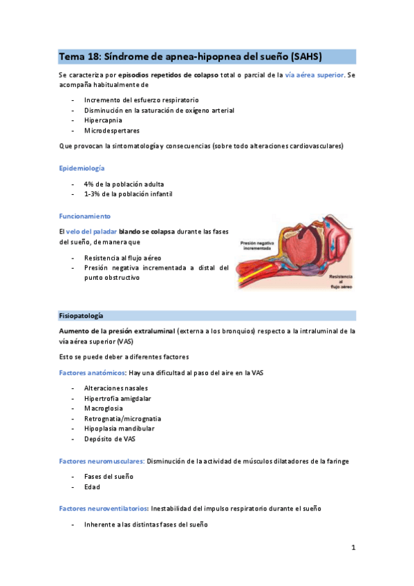 Miniatura del documento T18-FIS-SAHS.pdf