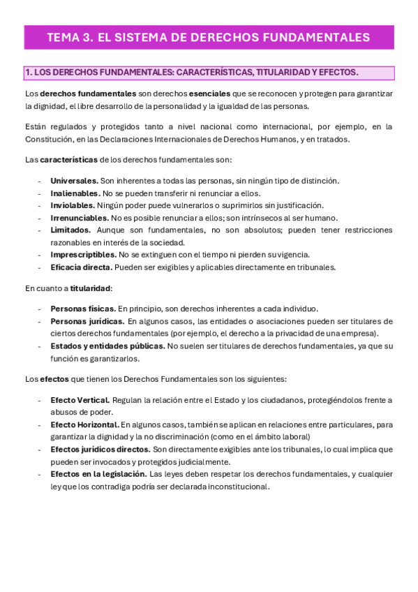 Miniatura del documento Tema-3.-El-sistema-de-derechos-fundamentales.pdf