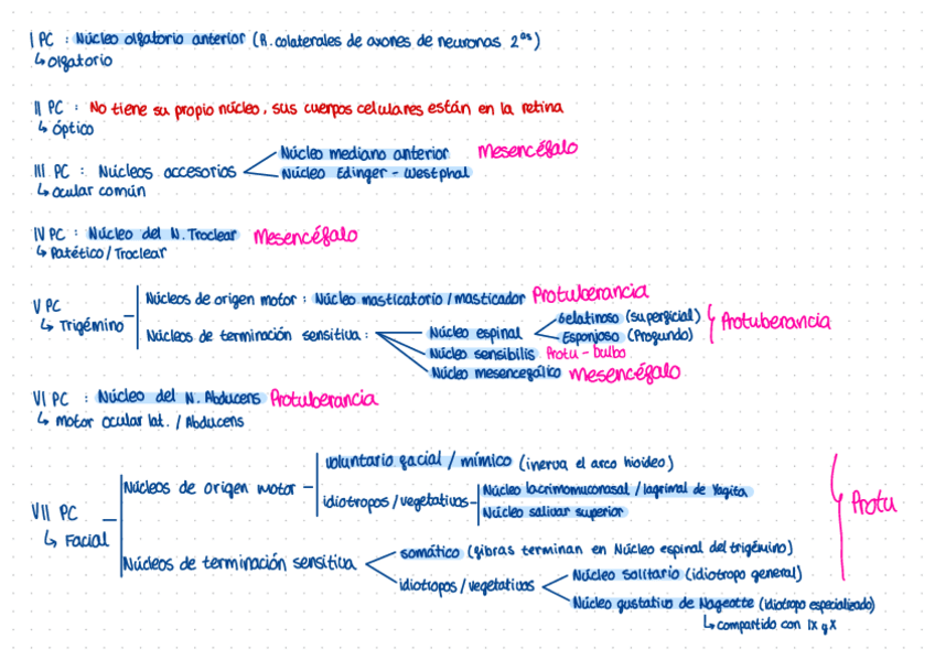 Miniatura del documento 1.-Nucleos-Pares-Craneales.pdf