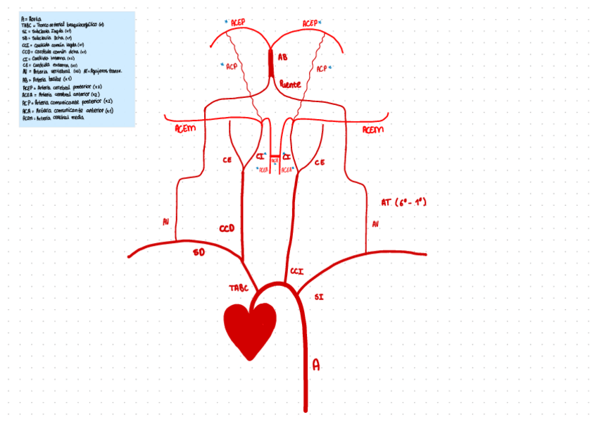 Miniatura del documento Poligono-De-Willis.pdf
