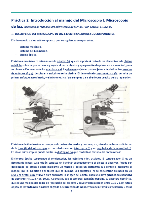 Miniatura del documento 2.pdf