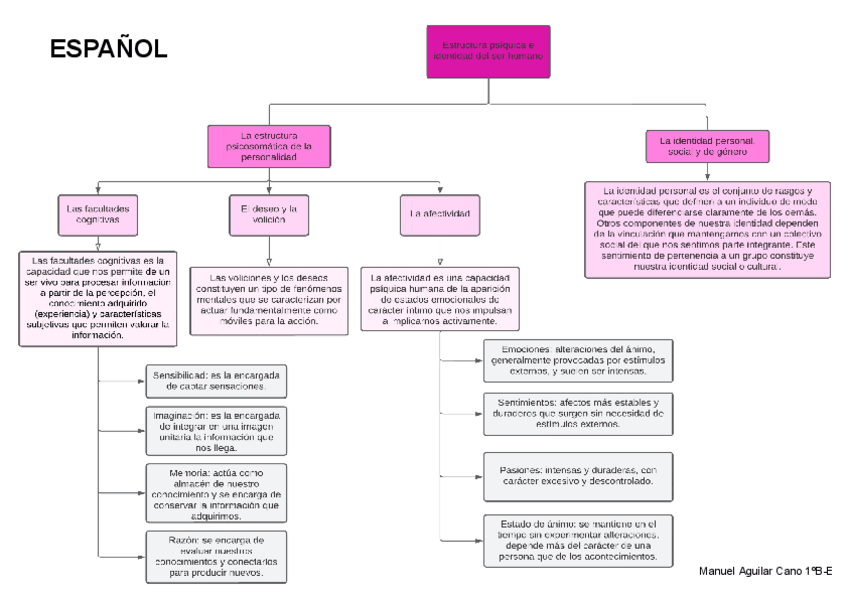 Miniatura del documento Estructura-psiquica-e-identidad-del-ser-humano.pdf