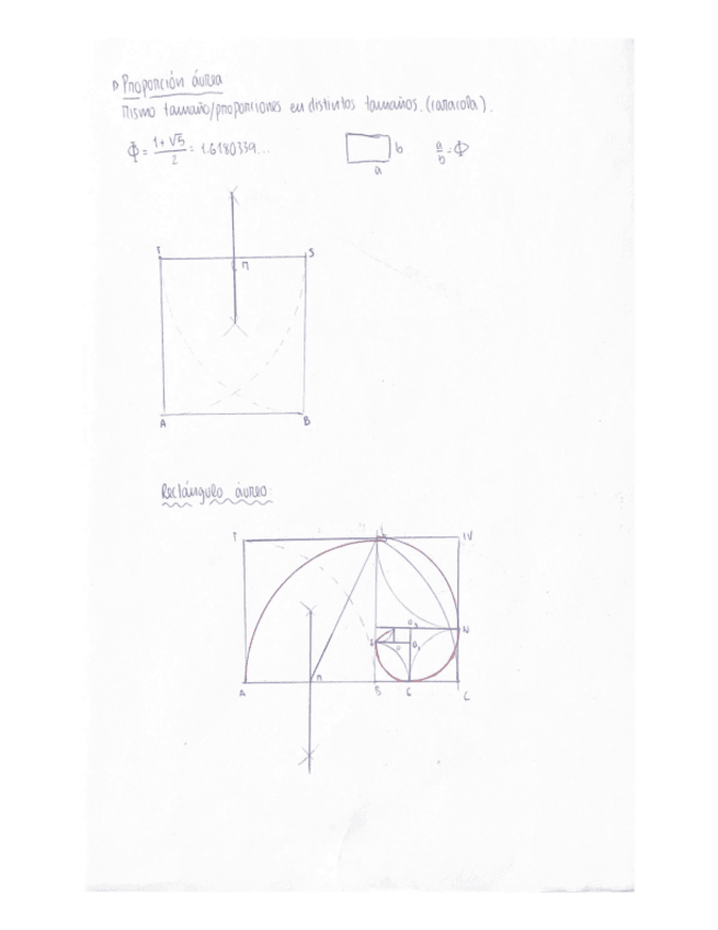 Miniatura del documento proporcion-aurea.pdf
