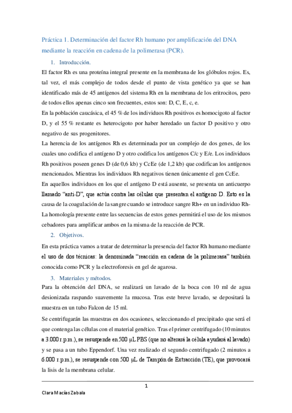 Miniatura del documento InformeFinal96.pdf