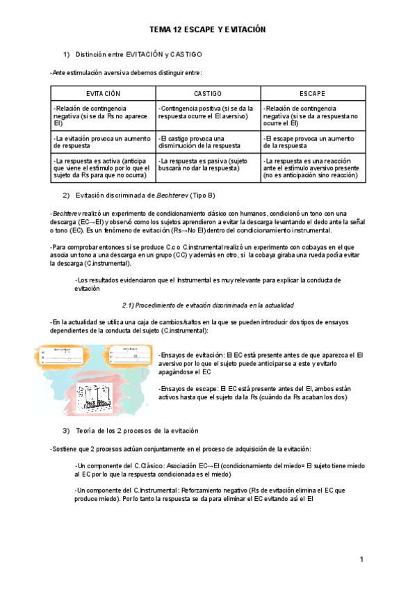 Miniatura del documento Tema-12-Escape-y-evitacion.pdf