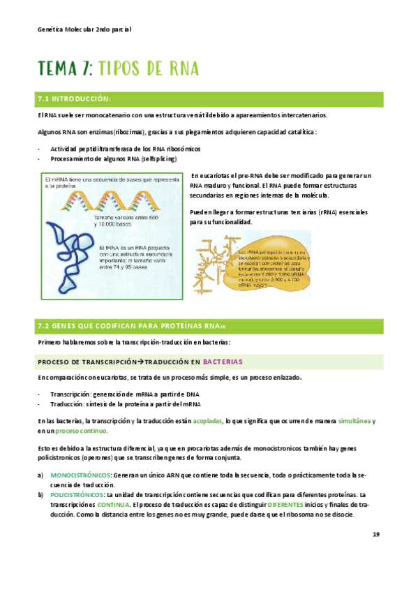 Miniatura del documento T-7-GM.pdf