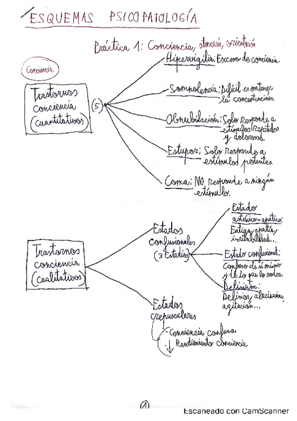 Miniatura del documento esquemas-psicopatologia-practicas-psicologia.pdf